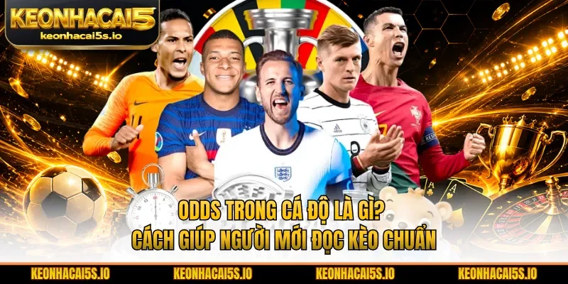 Odds trong cá độ là gì